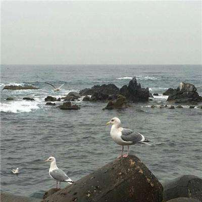 逃出银河系4399版下载