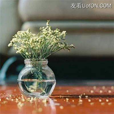 点燃火炬游戏下载